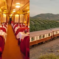 Interior lujoso de un vagón restaurante y un tren panorámico atravesando un paisaje de olivos, evocando un viaje de ensueño como el tren San Fernando Madrid.
