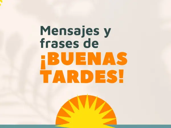 Mensajes y frases de ¡buenas tardes bonitas! Un sol brillante y sombras de hojas adornan este saludo.